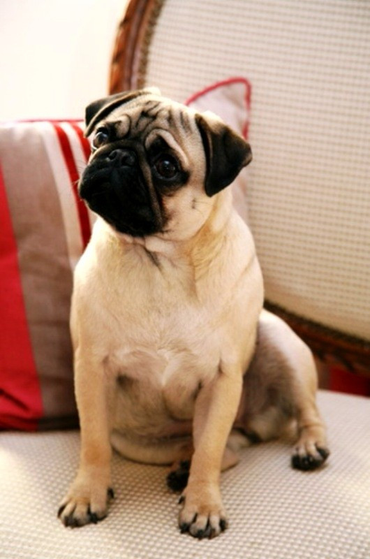 rebecca of the world